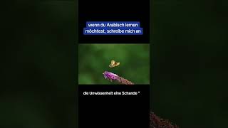 arabische_wörter arabische arabisch islamdeutsch prophetmuhammad kalifat antoniorudiger 2024