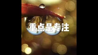 201411 重点是专注32244