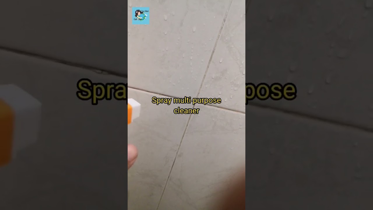 Before and After Using ZWES Multi Purpose Cleaner 