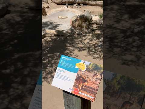 Video: Külastage Albuquerque'i ABQ BioParki loomaaeda