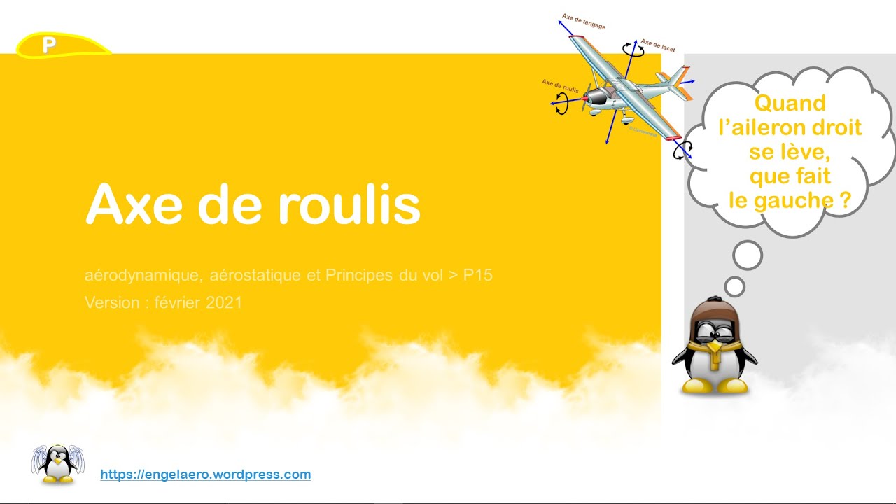 🛫Axe de roulis (BIA, Principes du vol🎈15)