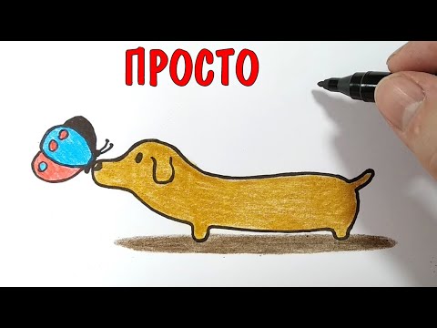 Как легко нарисовать ТАКСУ