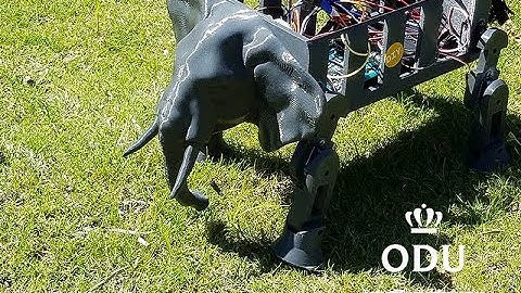 Biologically Inspired Robotics