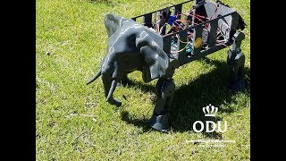 Famous Biologically Inspired Robotics Profile