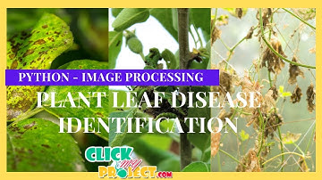 Python Image Processing Project - Agricultural Plant Leaf Disease Identification - ClickMyProject