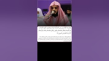 شيخ رعد الكردي حالات واتس اب | سورة (العنكبوت: ٢٤)