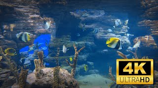 4K Aquarium with Relaxing Music - 24 Hours Screensaver for Sleep Meditation