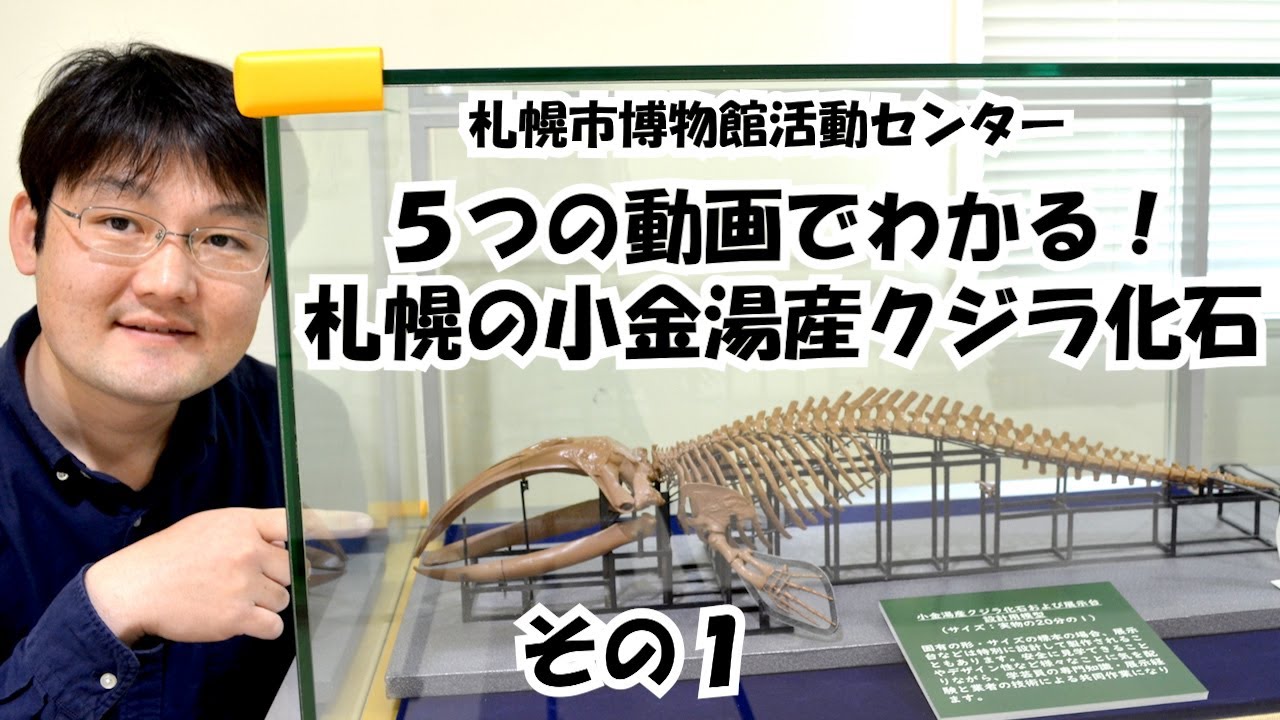 Learn about whale fossils from Koganeyu, Sapporo, Part 1: Did
