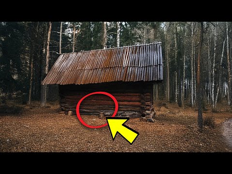 Man Discovers Hidden Treasures in His Cabin: You Won’t Believe How!
