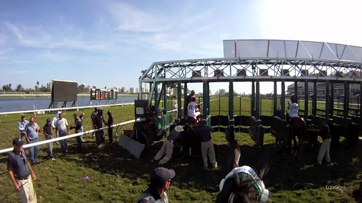 Rajiv Maragh Jockey Cam at Gulfstream Park in HD: Ride the Race with EquiSight