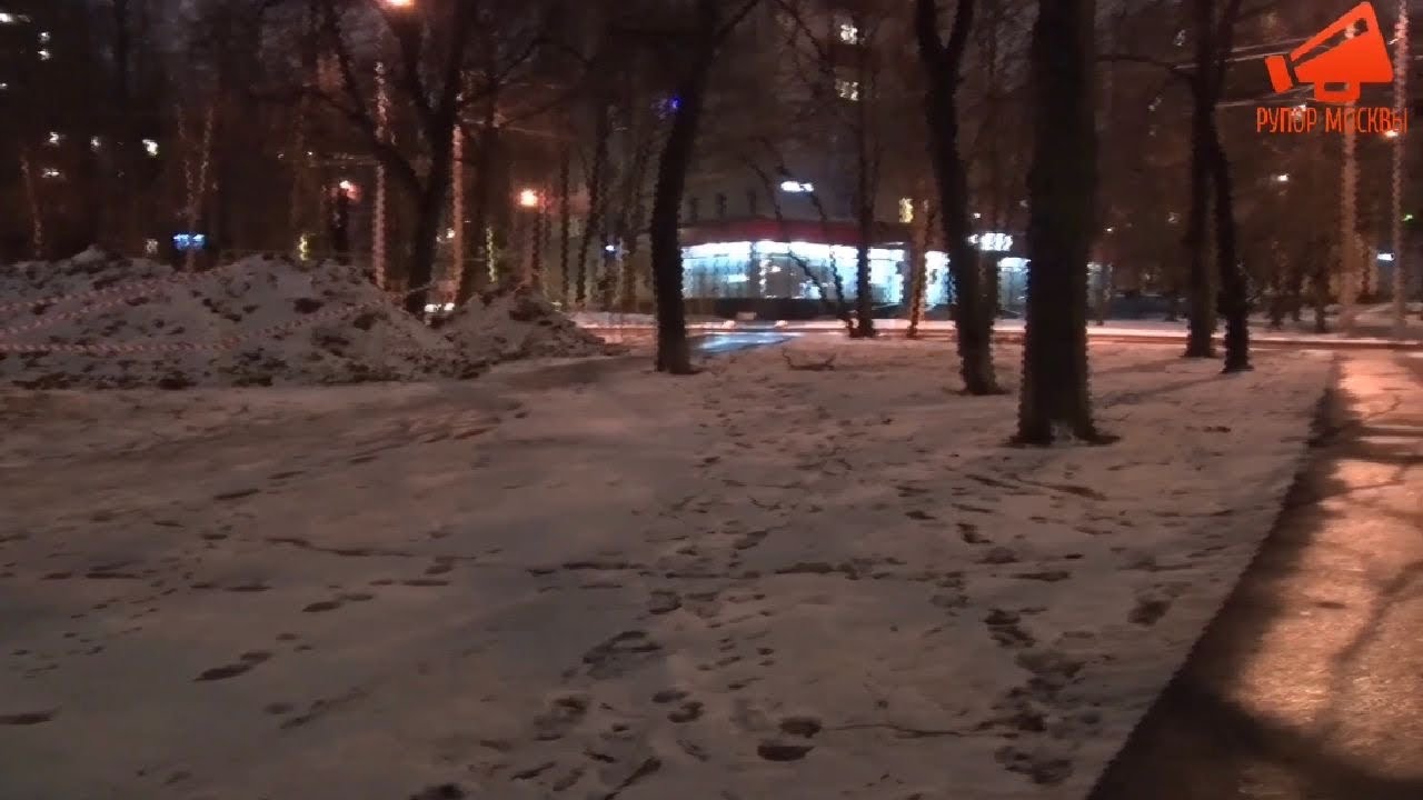 В Москве выпал бесплатный снег