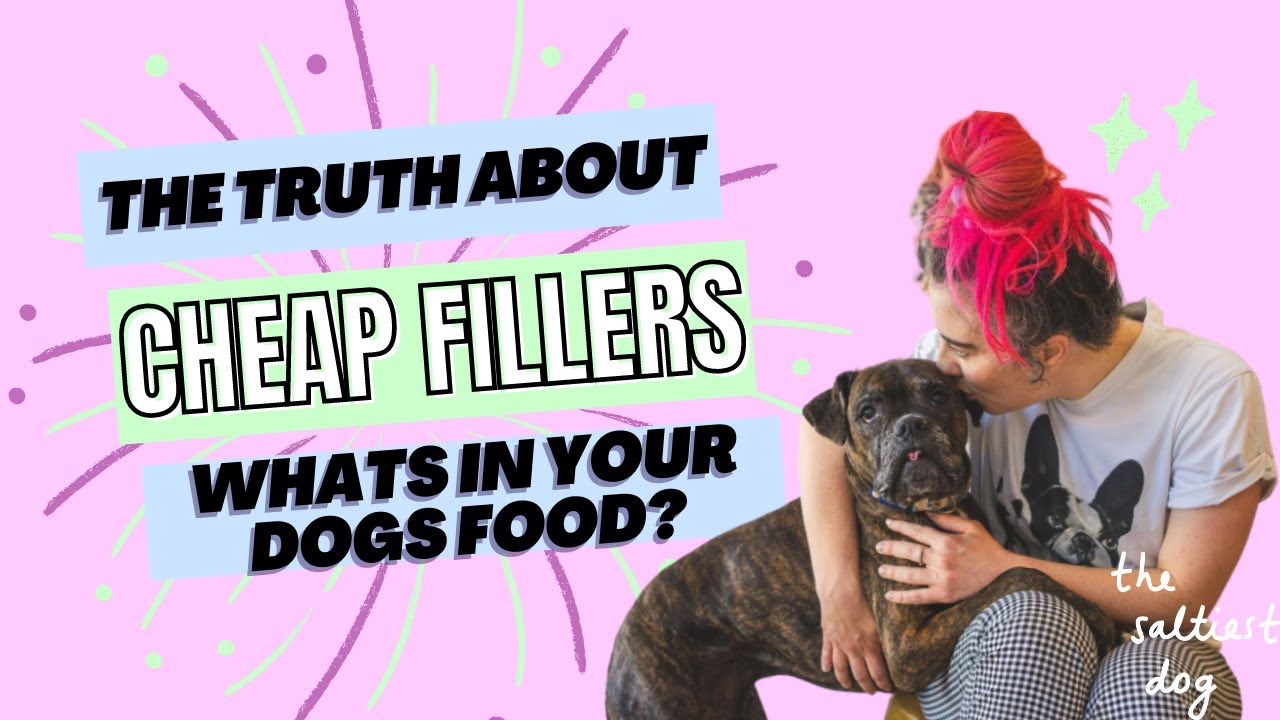 The Truth About Cheap Fillers YouTube