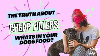 The Truth About Cheap Fillers