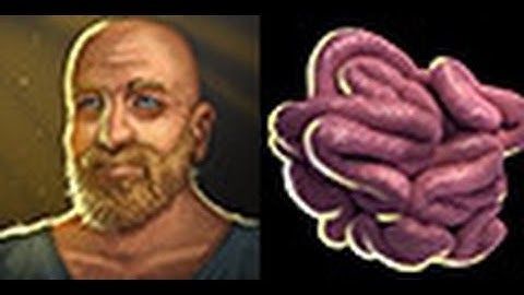 Divinity Original Sin - Captain Jack - The World Needs Guts - Achievement Guide - Act 1