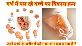 गर्भ में पल रहे बच्चे का विकास क्रम/Development of baby during gestation