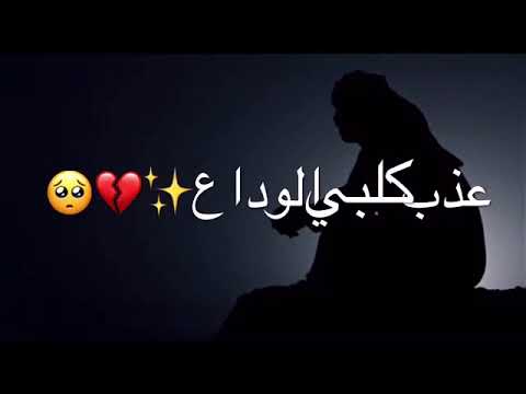 حالات واتساب مصطفى الربيعي الوداع الوداع 