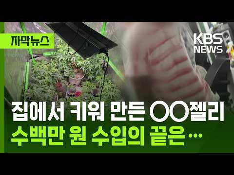 [Subtitled News] Homemade cannabis gummies… 'Famous rapper' also bought them at a club / KBS 10/2...