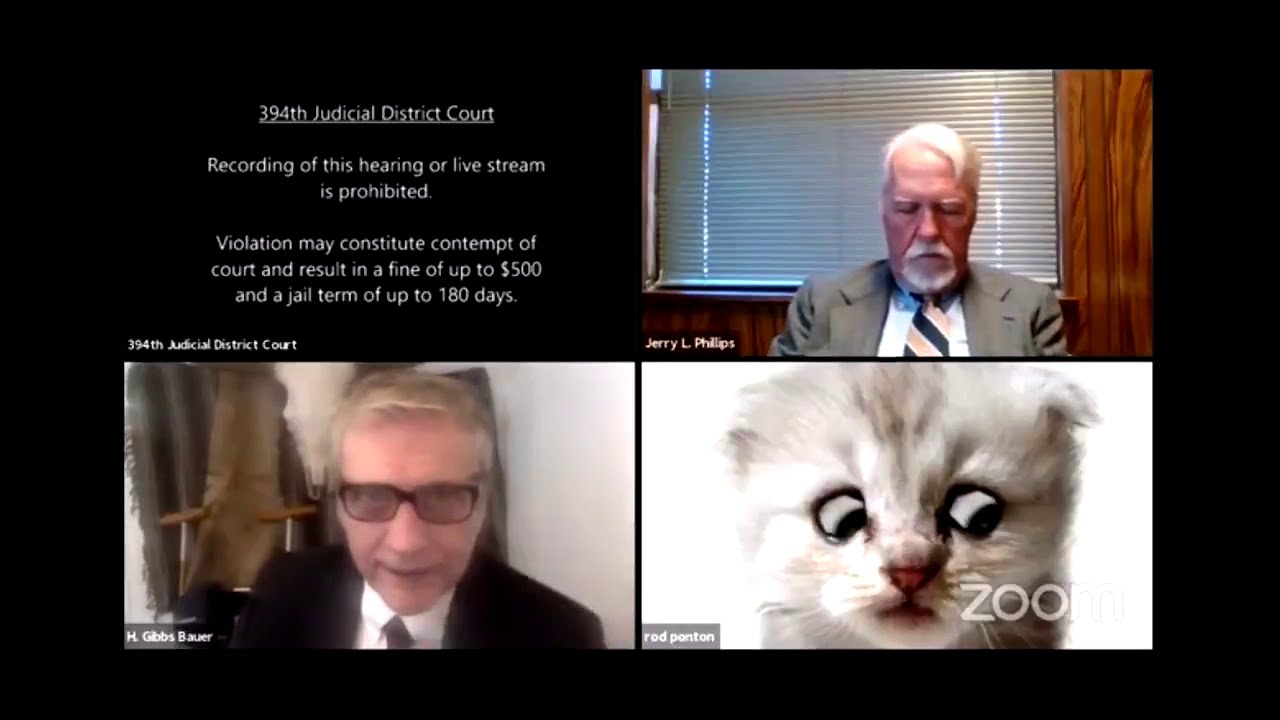 Lawyer Uses Zoom Cat Filter YouTube