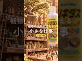👷はたらく小人👷 Vol.004#shorts