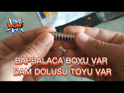 Video: Maqnit konstruksiya qolbağı: növləri, təsviri, məqsədi