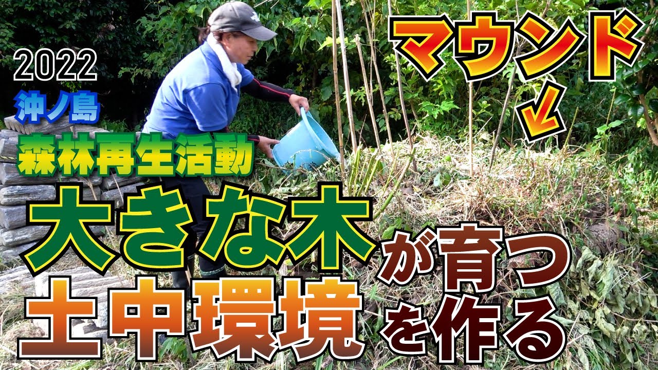 大きな木が育つ土壌を作る！2022年秋の草刈りとマウンドのメンテナンス「館山・沖ノ島の森林再生」