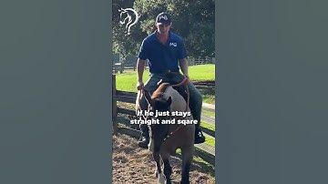 Quick Tips On Fixing Crossfiring While Riding!! Part 7! | The Horse Guru - Michael Gascon