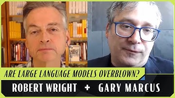 Does AI Understand Things? | Robert Wright & Gary Marcus