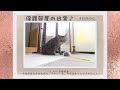 保護部屋の日常♪ ♯2026-042 5.24の保護部屋 〜保護部屋のおかぁさん、アポロくん今日はまったりアポロくん〜