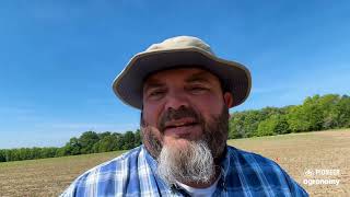 Corn Growth Stages Explained | What to Watch from V2 to V6 | Stand Counts, Nitrogen, Yield Potential
