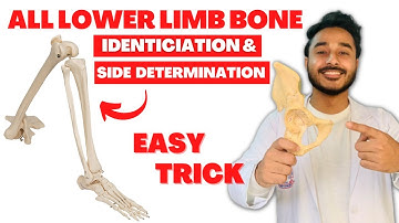 All lower limb bone side determination | All lower limb bone identification  lower limb bone anatomy