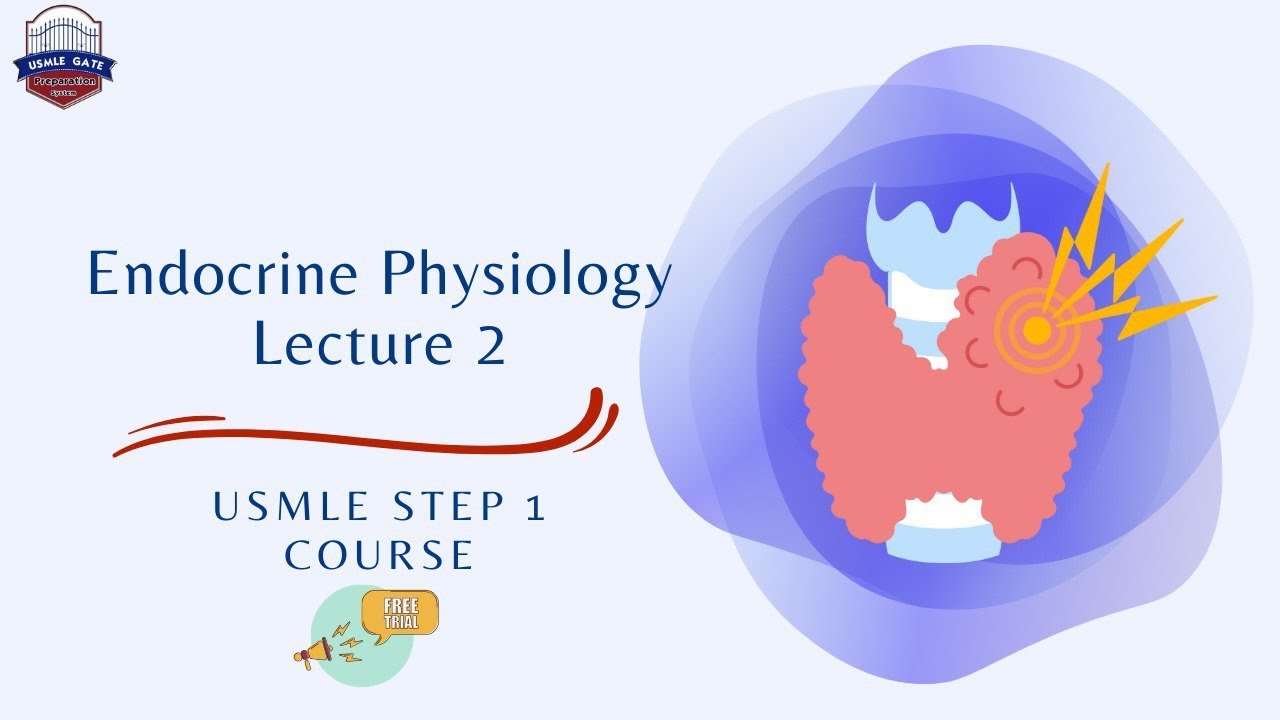 Endocrine physiology بعنوان USMLE STEP 1 المحاضرة الثانية من كورس - YouTube