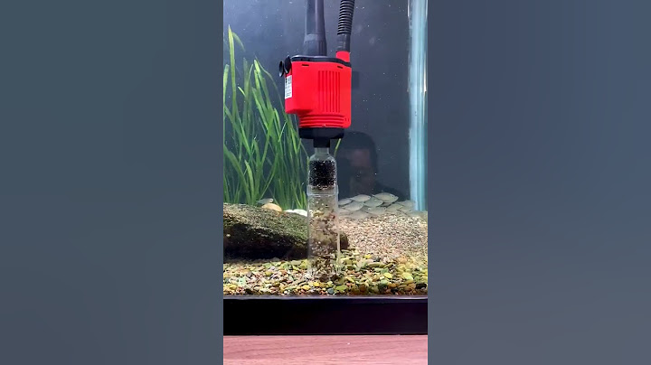 Wonderful Aquarium Cleaning Filter🫧#trending #fishtanksetup #fishaquarium #aqurium #fish #diy #viral