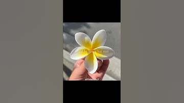 When lyrics feel too personal.. || Aesthetic Editing || WhatsApp Status || #shorts