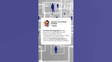 The only  true definition  of what  a CTO is.