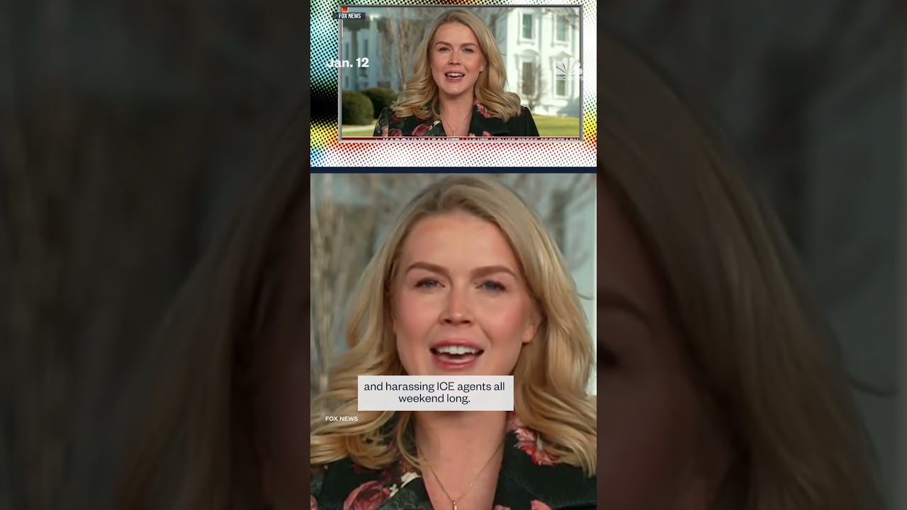 Minnesota sues federal government over ICE operations