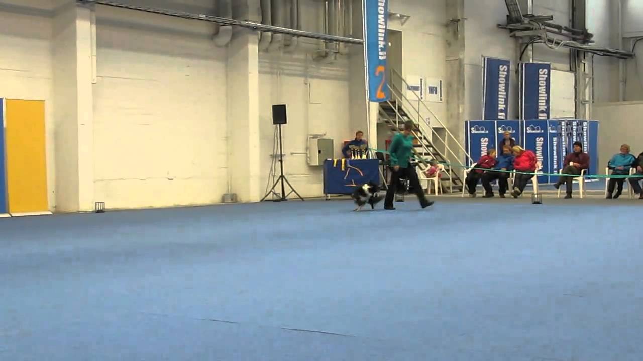 HTM Suomenmestari 2010 Nevada