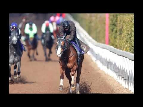 競馬　本馬場　西日本と北海道　重賞　旧　入場曲　高音質
