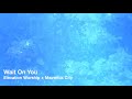 Wait On You | Lyric Video | Elevation Worship and  Maverick City