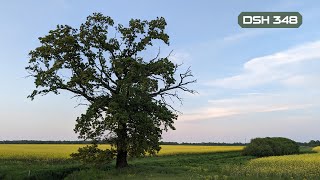 DSH 348 | Atmospheric Deepness & Melodic Grooves