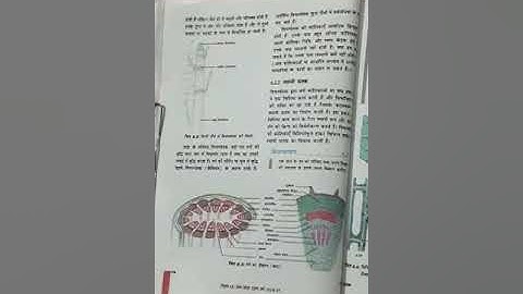 Tissues Lect 2 | Science | Class 9 UP Board | By Shashi Gupta | GGIC PHAPHAMAU