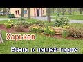 Харьков Весна в парке