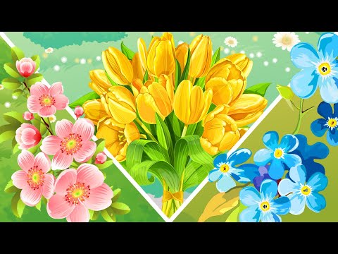 Учим Цветы | Развивающее Видео Для Детей