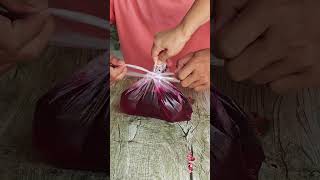 Demonstration of plastic bag leak-proof strapping skills