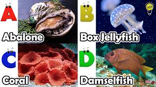 ABC phonics animals | ABC Sea Animals song | English and Animals for Kids | Alphabets Kids Song