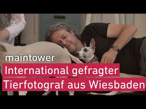 Video: Staat von mir. 