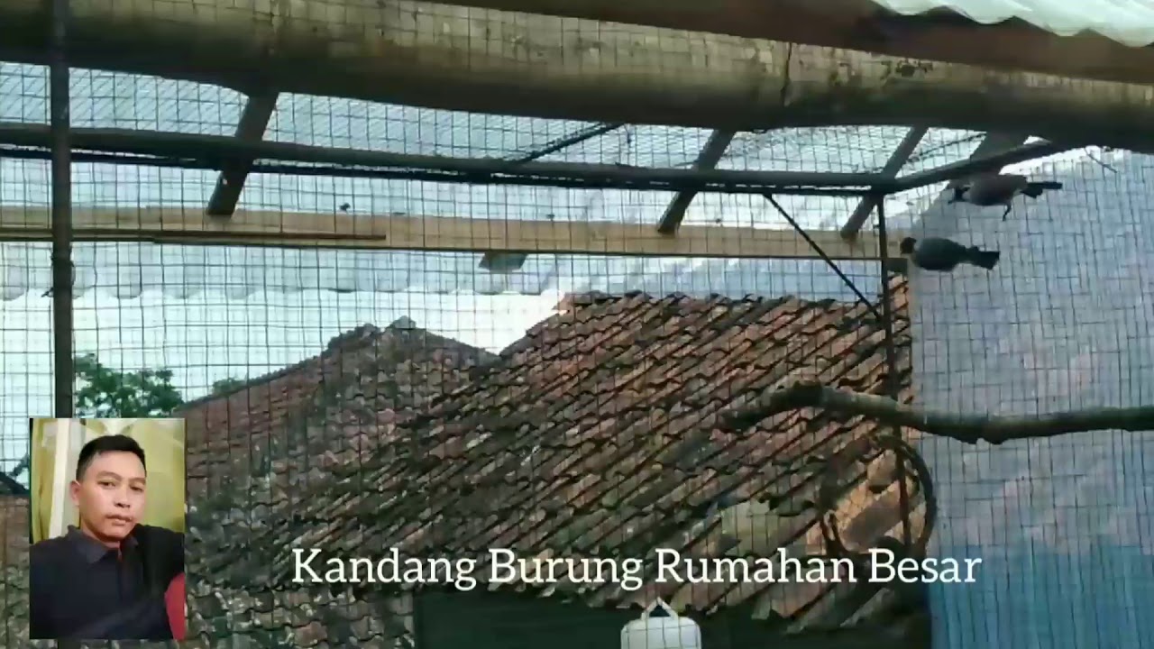 Kandang Burung Ternak Besar 