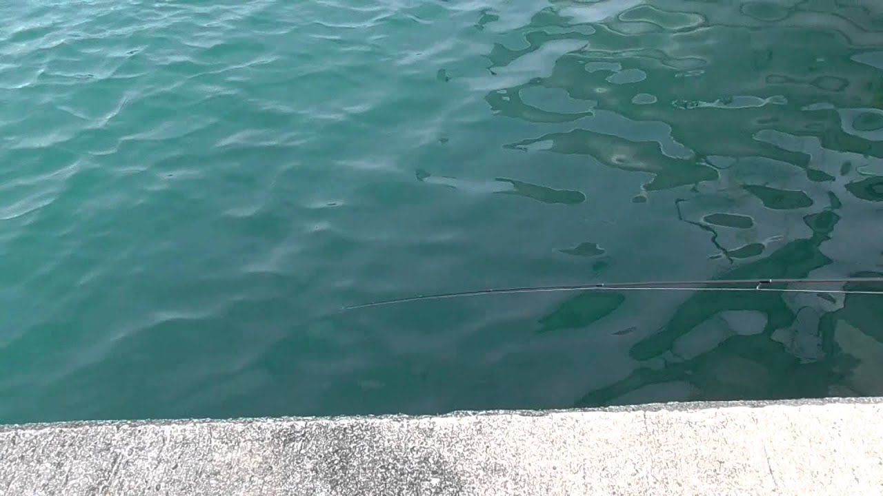 投げやウキで釣れない時は落とし込み釣り ズボ釣り がオススメ 和歌山堤防釣り 釣太郎 Youtube 投げやウキで釣れない時は落とし込み釣り ズボ釣り がオススメ 和歌山堤防釣り 釣太郎 Youtube