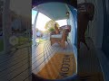 The Cat That Treats the Porch Like a Throne #funnycat #catvideo #ringdoorbell