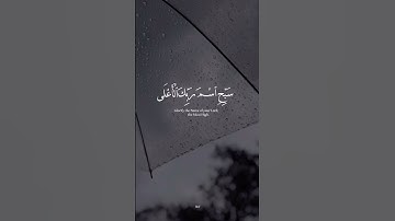 سورة الأعلى - عبدالرحمن مسعد