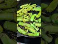 Blistered Shishito Chimichurri #chimichurri #shishito